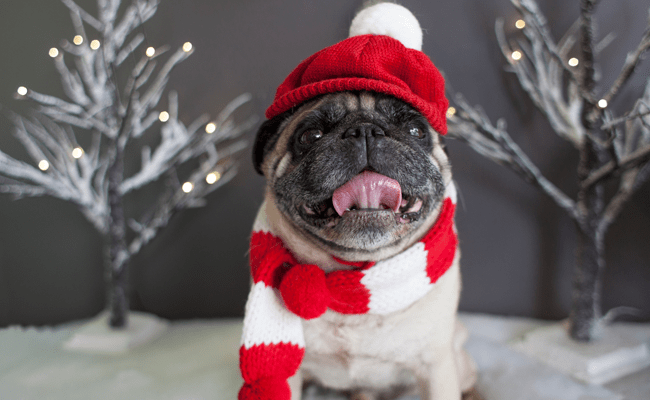 拖延癥小企業(yè)主進(jìn)行限時(shí)營(yíng)銷的幾個(gè)技巧