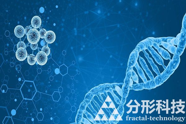 醫(yī)院網(wǎng)站建設(shè)：創(chuàng)新醫(yī)療，便捷就醫(yī)